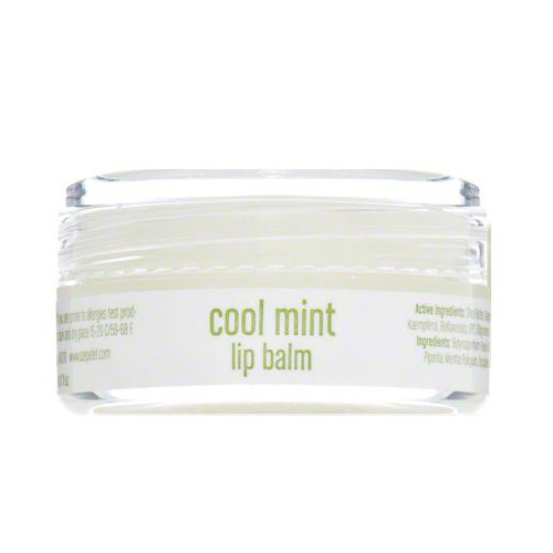 ilike Organics Lip Balm - Cool Mint on white background
