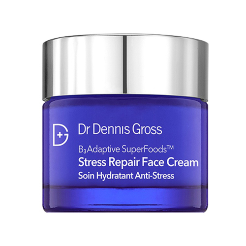 Dr Dennis Gross B3 Adaptive Superfoods Stress Repair Face Cream on white background