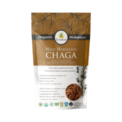 Organic Chaga Ground on white background