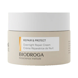 Repair and Protect Overnight Repair Cream