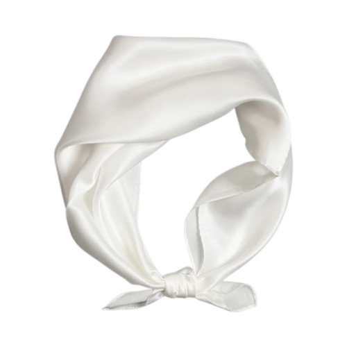 Naturally Yours T LeClerc Satin Scarf on white background