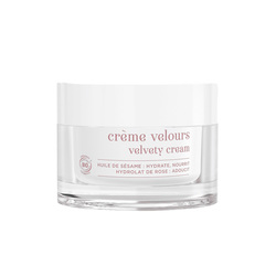 Velvety Cream on white background